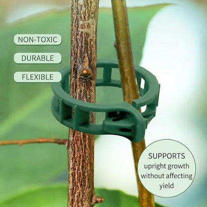 300Pcs Tomato Clips, Reusable Plant Support Clips for Climbing Plants, Garden Clips for Tomato Vine, Trellis Clips for String Trellis, Plant Fixing Clips for Vegetables (Green)