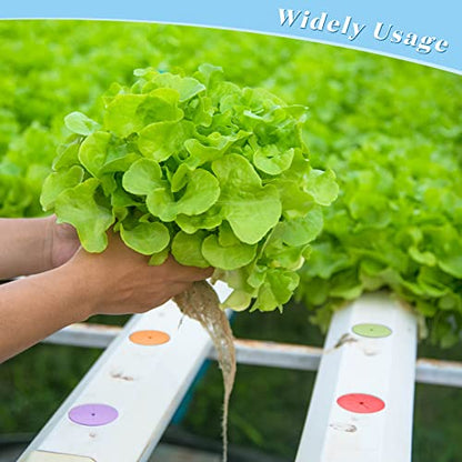240 Pcs 2 Inch Clone Collars Neoprene Inserts Hydroponic Cloner, Multicolor - color: Multicolor