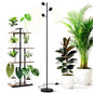 Barrina T1X3 Standing Grow Lights for Indoor Plant, 6FT 30W 5000K High PPFD - size: 30W-6FT-3 Heads