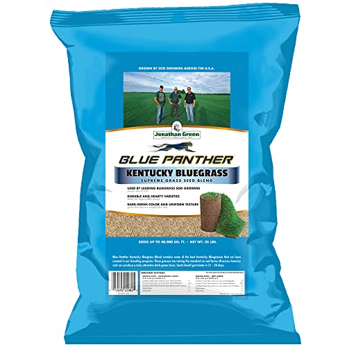 Jonathan Green Blue Panther Kentucky Bluegrass Grass Seed - 25 lb - size: 25 lb