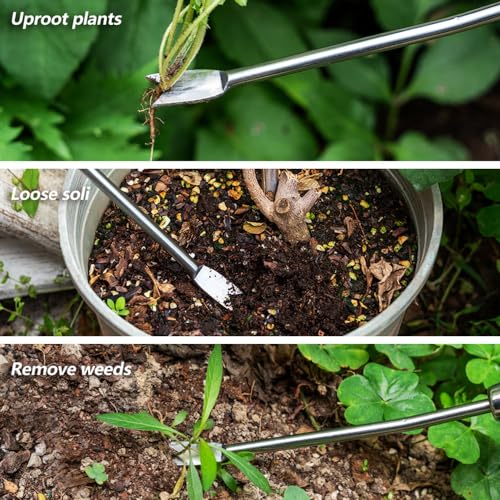Dandelion Weeding Tool, Crack Weeder Hand Weeder Puller Tool - size: 13'' Dandelion Weeder