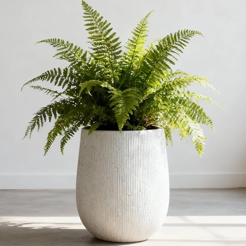 Worth Garden White Large Round Planter, 12.5" Dia x 18.5" H Lightweight Magnesium Oxide Cement Plant Pot with a Striped Textured Finish, Raised Pattern Concrete Look, Drainage Hole, Indoor & Outdoor - color: White, size: Large
