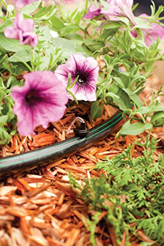 Rain Bird BUE10-25S Drip Irrigation Button Dripper/Emitter, 1 Gallon Per Hour, 25-Pack - size: 25-Pack, style: 1 Gallon Per Hour