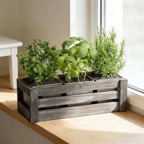 SOFE Rustic Galvanized Planer Box, Indoor Windowsill Herb Garden Organizer