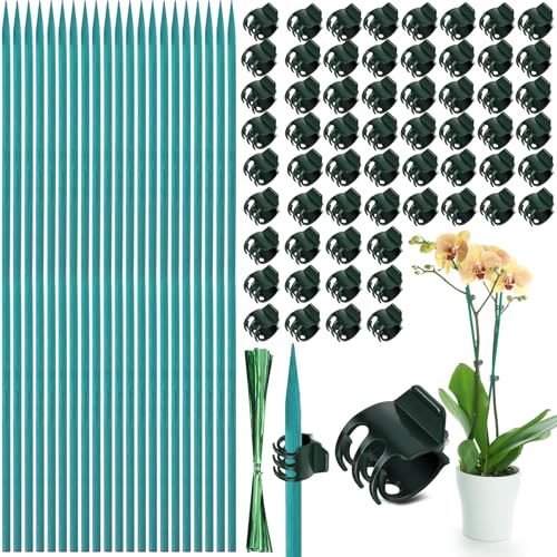 Jetec 110 Pcs 15 Inch Plant Support Kit for Small Orchids, Stakes, Clips