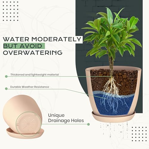 Plant Pots Indoor with Drainage, 10 Pack Multi-Size Planters Set, Pink - color: Peach Pink, size: Pack of 10