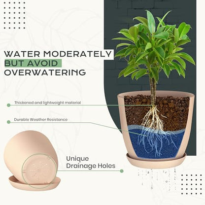 Plant Pots Indoor with Drainage, 10 Pack Multi-Size Planters Set, Pink - color: Peach Pink, size: Pack of 10