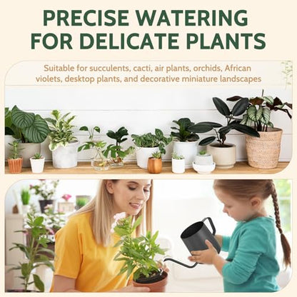 Small Watering Can Indoor Plants 12 OZ Mini Watering Can Stainless Steel - color: Black