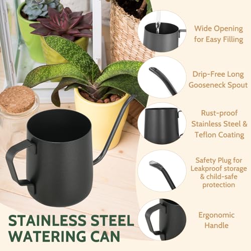 Small Watering Can Indoor Plants 12 OZ Mini Watering Can Stainless Steel - color: Black
