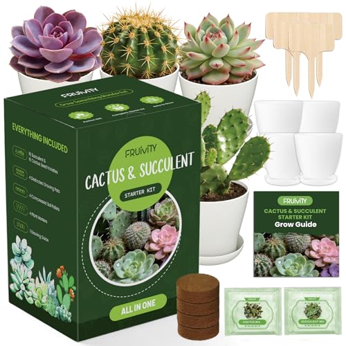 Succulent & Cactus Seed Kit for Planting, Premium Cactus & Succulent Starter Kit: 4 Growing Pot, Markers, Seeds Mix, Soil - Beginner Indoor Cacti Kit – House Plant - Men Women DIY Gift Kits