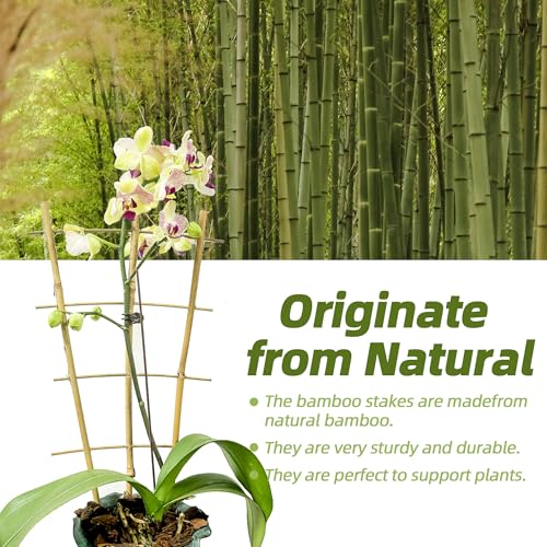 10 Pack 16" Bamboo Trellis for Climbing Plants, Fan-Shaped Plant Support - size: 16 Inch