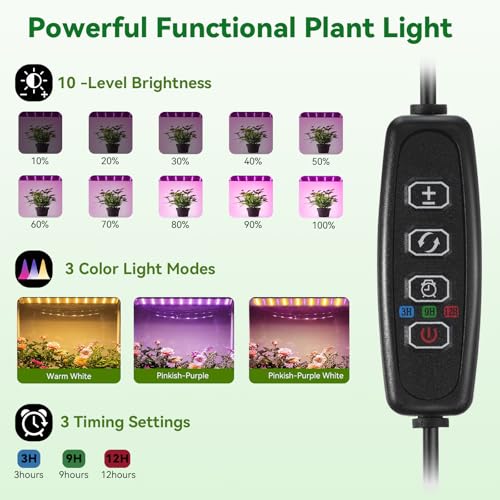 Mini Indoor Greenhouse with Grow Lights & Timer 3 Light Color Mode
