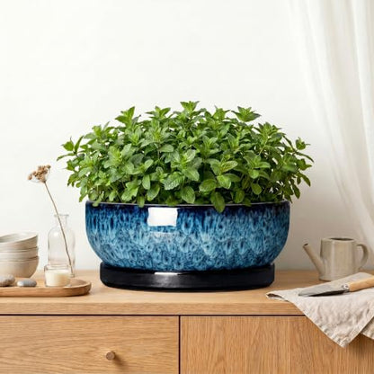 Bonsai Pots, 13 Inch Ceramic Succulent Pot with Saucer, Blue - color: Blue, size: 13 Inch