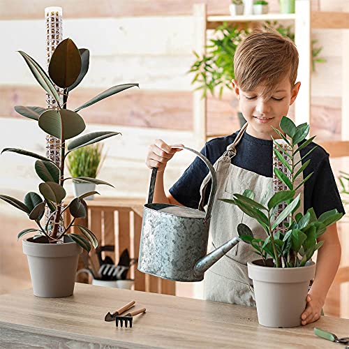 Small Moss Pole for Monstera - Stackable & Refillable Plastic Moss Poles for Climbing Plants with Large Mesh Design (2Pack-White-Small) - size: 2Pack-White-Small
