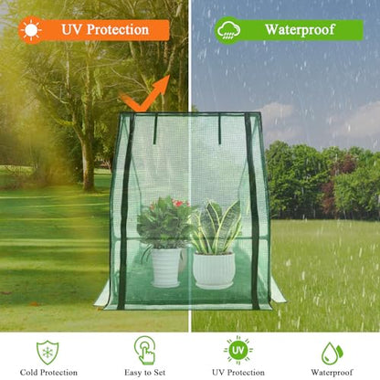 U'Artlines Portable Mini Greenhouse Small Green House 36x36x42 Inch - size: 36x36x42 Inch