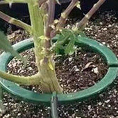 Drip Irrigation Ring, Halo Water Ring, drip Head Ring, Garden drip Irrigation Watering Ring, Plant Watering drip Water Distribution Ring, Ideal Water Distribution - size: 5 inches