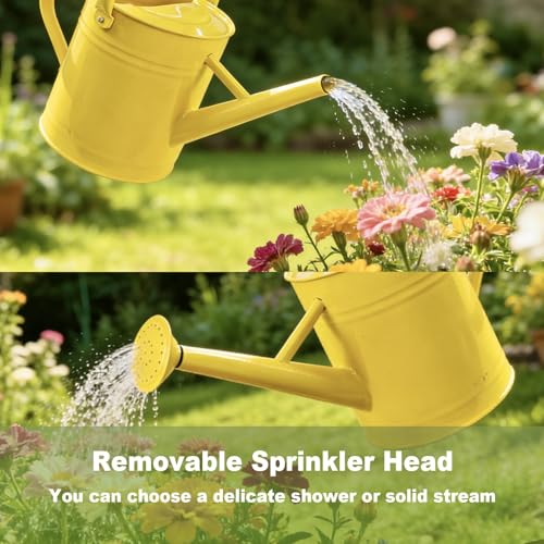 1 Gallon Watering Can for Outdoor&Indoor Plants，Yellow - color: Yellow