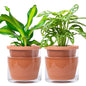D'vine Dev Self Watering Terracotta Planter Pot, 6 in, 2-Pack, 37-Y-B-1 - color: Terracotta, size: 6 Inch