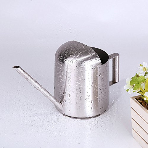 Mini Watering Can, 10oz/300ml Stainless Steel Long Spout Small Watering Can for Indoor Plants Succulents, Herbs (Silver) - color: Silver