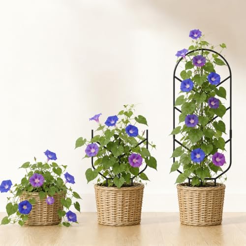 Plant Trellis for Potted Plants, Trellis for Climbing Plants - size: 32.6in/2P