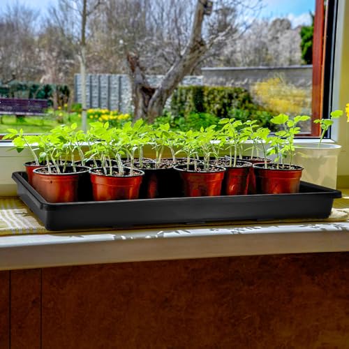 ZAVOOS 6 Pack Nursery Potting Trays with No Drain Holes