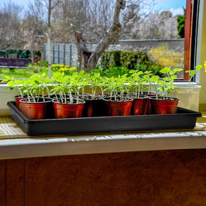 ZAVOOS 6 Pack Nursery Potting Trays with No Drain Holes