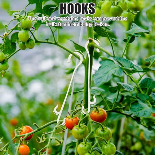 Tomato Support Hooks with Tomato Clips, Tomato Hooks with String 190pcs - size: 33.3ft-30ps