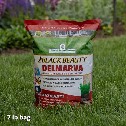 Jonathan Green Black Beauty Delmarva Grass Seed - 7 lb - size: 7 lb