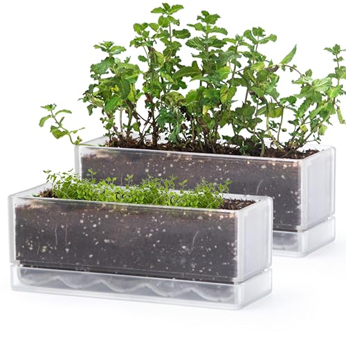 D'vine Dev 2-Pack Rectangular Planters, 12 x 4.5 in, Clear, 76-X-D-2 - color: Clear