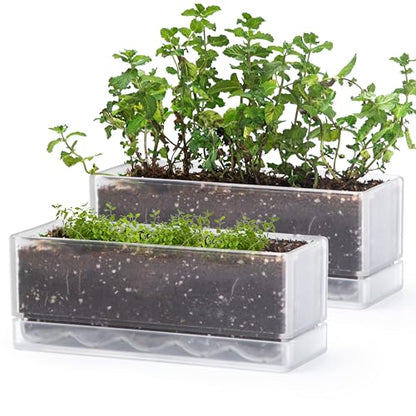 D'vine Dev 2-Pack Rectangular Planters, 12 x 4.5 in, Clear, 76-X-D-2 - color: Clear