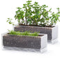 D'vine Dev 2-Pack Rectangular Planters, 12 x 4.5 in, Clear, 76-X-D-2 - color: Clear