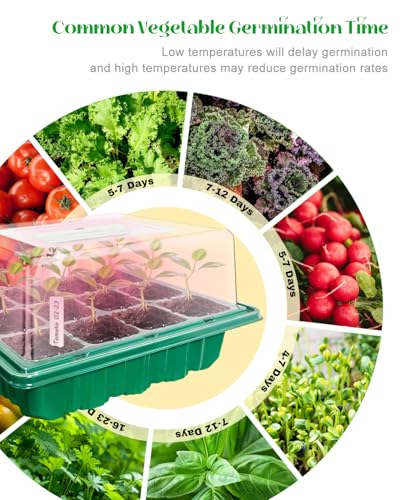 Seed Starter Tray with Grow Light (2x 24-LED), 2 Pack for Seed Starting - size: 2-Pack 24-Cell, style: Without Heat Mat