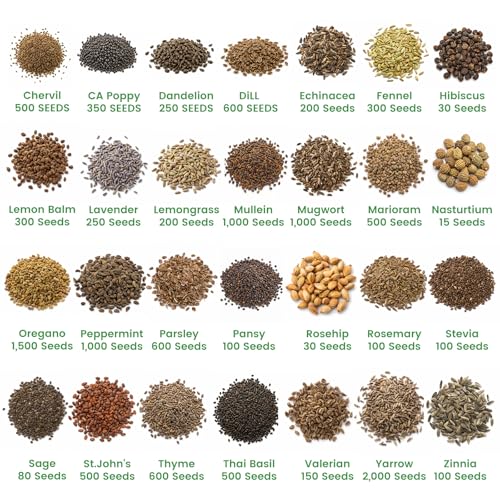 35 Herb Seeds Variety Pack, 16,400+ Non-GMO Heirloom Seeds for Planting