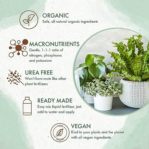 Organic Indoor Plant Food, Nutrient-Rich Formula for Houseplants, 8oz - size: 8 ounces