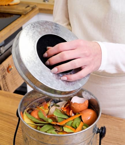 Plexon Countertop Compost Bin Kitchen Indoor, with Lid, Silver 1.5 Gall - color: Silver