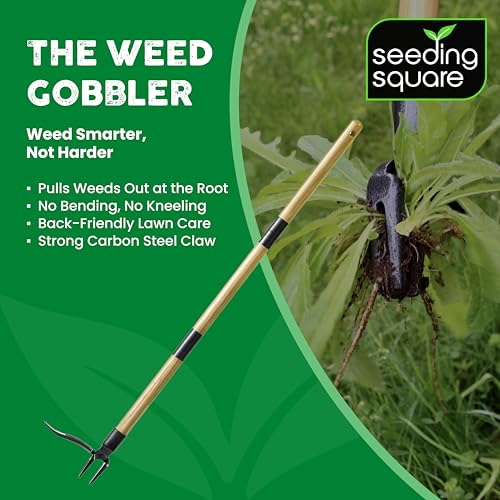 Stand-Up Weed Puller Tool with Long Handle for Dandelions and Garden Weeds.