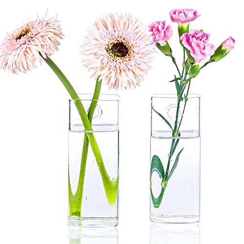 Square Glass Propagation Vase 2 Pack, Wall Hanging Hydroponic Planter - color: Square Tube