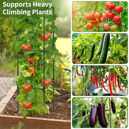 ROADPLUM 2 Pack 48" Tomato Cage for Garden, Heavy Duty Adjustable Plastic Coated Steel Pipe Tomato Stakes Trellis Plant Cages for Vegetable, Fruit, Flower, Rose Vine Climbing Plants - size: 2 PACK