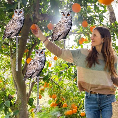 Owl to Keep Pigeons Away, 5 Pack Fake Owls, Pigeon Scare - color: Amazed Eagle 5pc