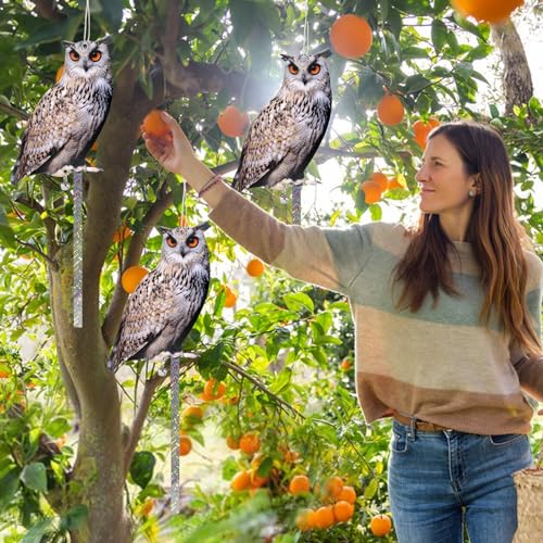 Owl to Keep Pigeons Away, 5 Pack Fake Owls, Pigeon Scare - color: Amazed Eagle 5pc
