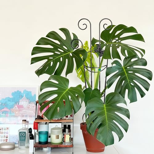 Coomin 32.6in Monstera Plant Support Trellis with One Butterfly, 4P - size: 32in,butterfly/4p