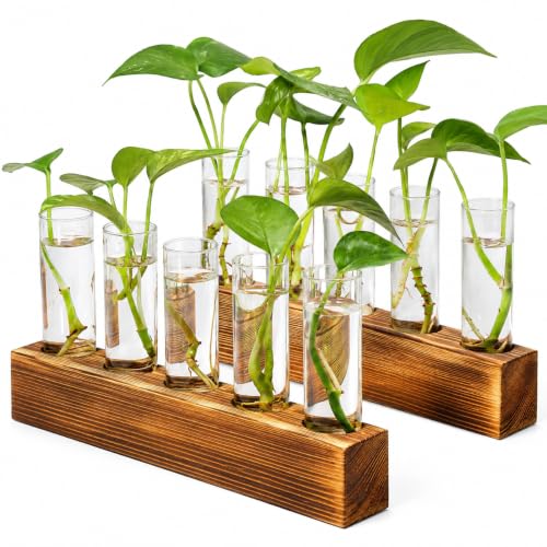 Renmxj Plant Propagation Station, 10 Glass Test Tube with Wooden Stand - size: 10 Test Tube