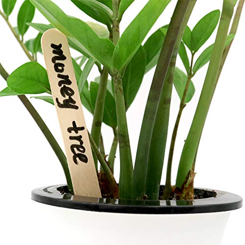 KINGLAKE 6" Wood Garden Plant Labels,150 Pcs Garden Plant Tags,Wood Sticks
