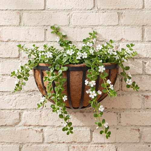 Arcadia Garden Products 1527 Half Round Circle Wall Mounted Planters with Coco Liner 16"