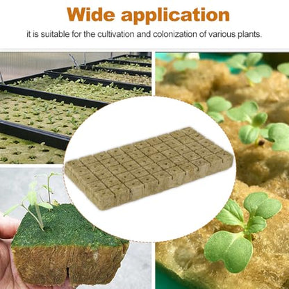 50pcs Planting Cubes Sponge Block Starter Plugs Stone Hydroponic Seed Block