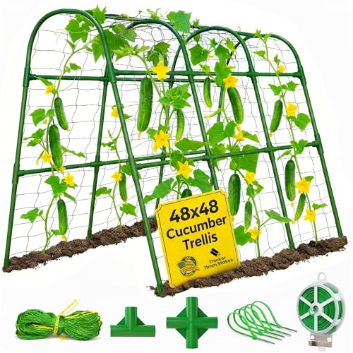 50x50 Cucumber Trellis for Raised Bed- A Frame Vegetable Garden Trellis
