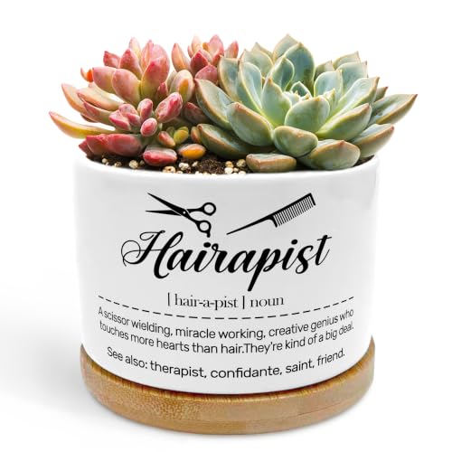Funny Hairapist Planter Pots, Gifts for Hairstylist Ceramic Succulent Plant Flower Planters(No Plants) - color: Style 01