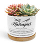 Funny Hairapist Planter Pots, Gifts for Hairstylist Ceramic Succulent Plant Flower Planters(No Plants) - color: Style 01