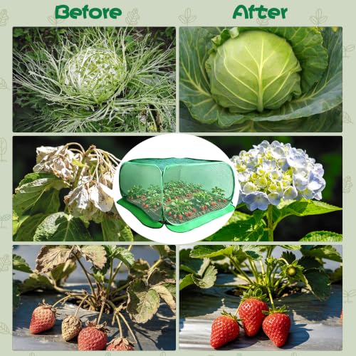 Pop Up Plant Netting Cover 40×40×20” Shade Mesh Cage Shade Top + Mesh Side - size: 100*100*50 1PCS