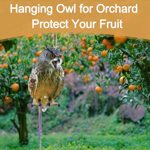 Owl to Keep Pigeons Away, 4Pcs Flat Plastic Owl - color: Brown 4pcs